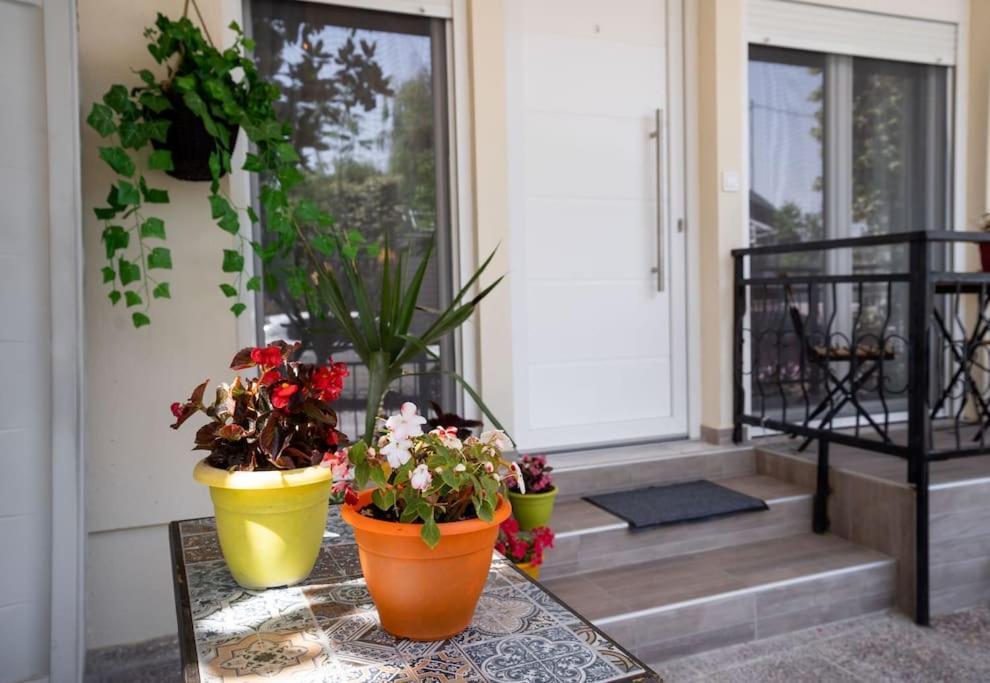 Elenis Cozy Apartment Larissa Exterior photo